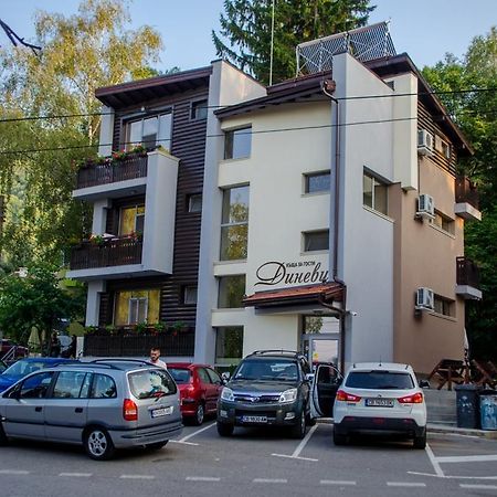 Guest House Dinevi Szapareva Banja Kültér fotó
