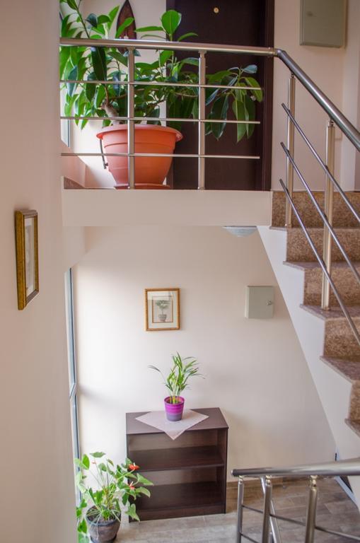 Guest House Dinevi Szapareva Banja Kültér fotó